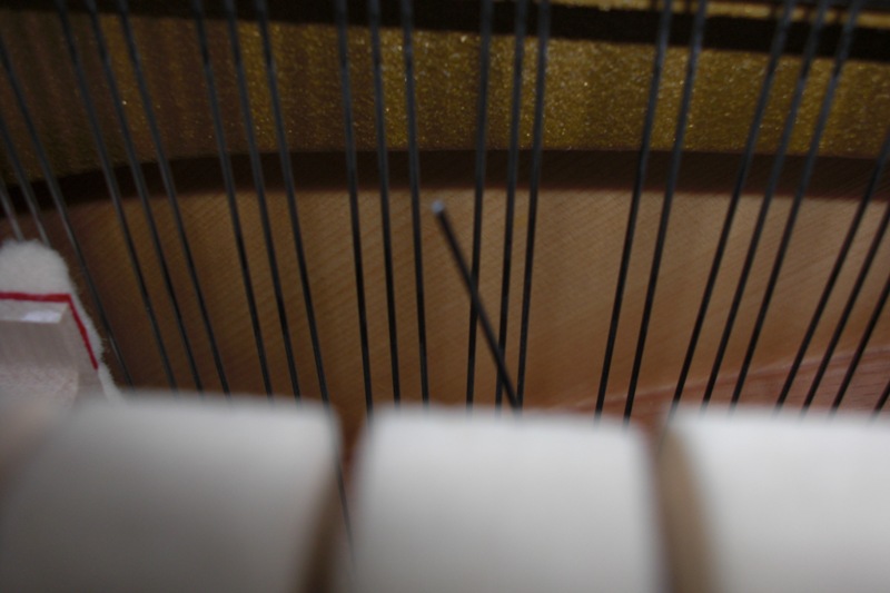 corde 800 pixels.jpg