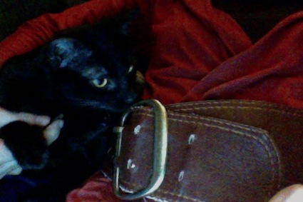 Photo du 16-03-13 à 19.07.jpg