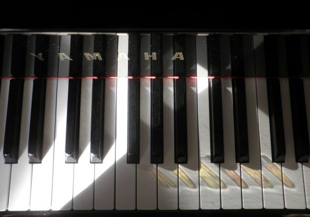 Reflets sur les touches 2.JPG