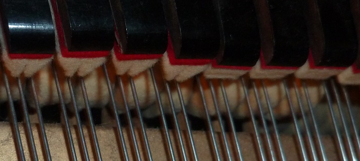 Marteau profil 1.jpg