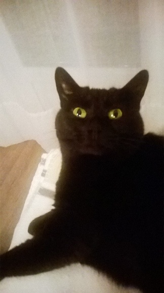 banquette Louna bis.jpg