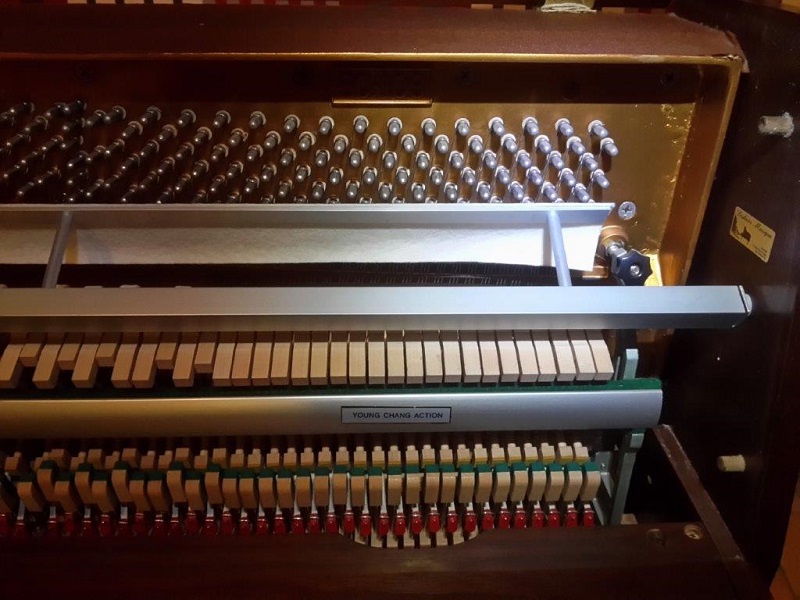 20151127_190307 (2).jpg