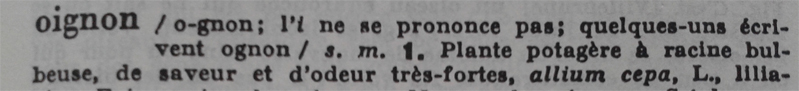 Oignon simple.jpg