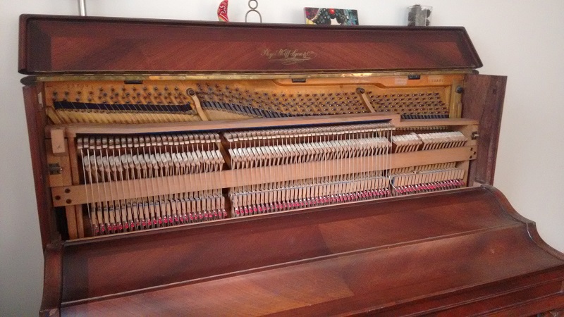 IMG_20170305_173033218 2.jpg