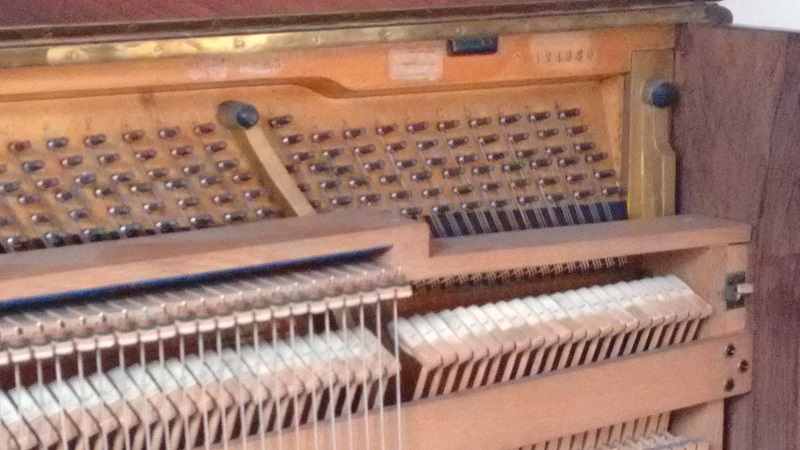 IMG_20170305_173135431 2.jpg